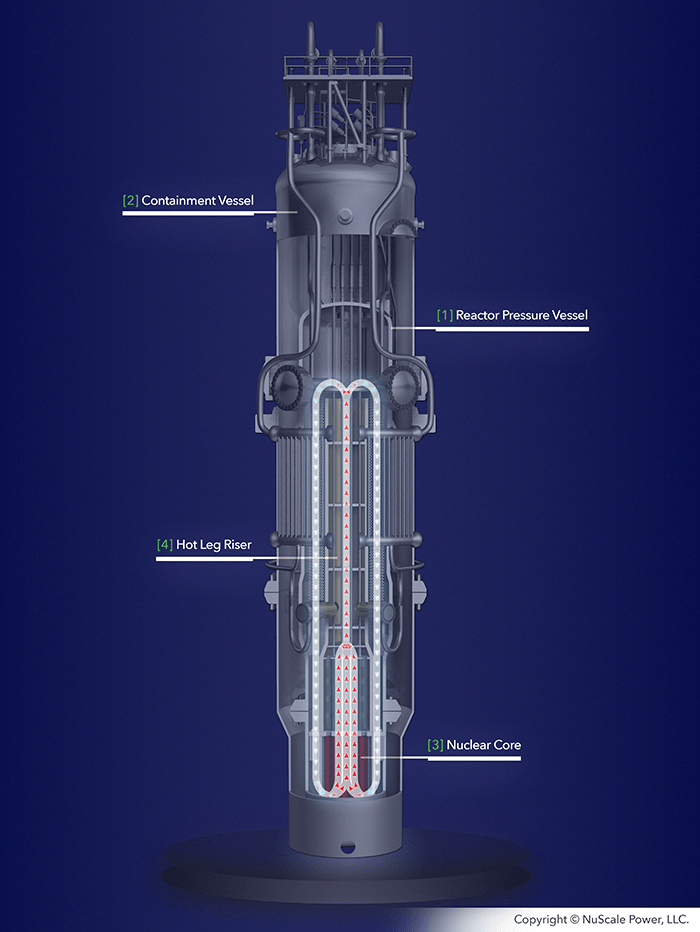 NuScale Power S SMR Plants To Be Named VOYGR ANS Nuclear Newswire   Reactor Module.ashx 