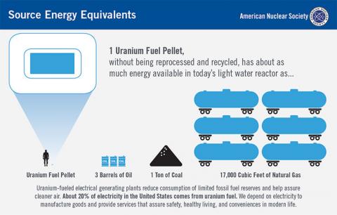 Source Energy Equivalents Pellet -- ANS / ANS Store / Public Information